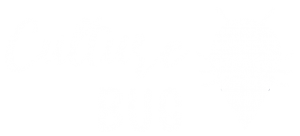 culture-bug-logotipo